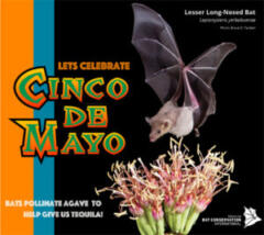 Would there be Cinco de Mayo without bats?